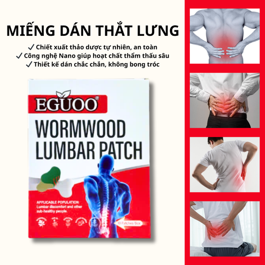 MIẾNG DÁN THẢO MỘC HỖ TRỢ CÁC VÙNG ĐAU NHỨC MỎI EGUOO